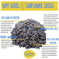 Neslane sjemenke suncokreta u ljusci od MND-a-najbolja hrana bez alergena i GMO - suho pržena