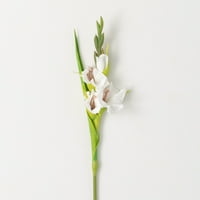 21,5 h Sullivans Dinamična krema bijela gladiola, krema