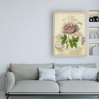 Zaštitni znak likovne umjetnosti 'Vintage Rose Bookplater' Canvas Art by Vision Studio