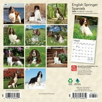 Zidni mini kalendar za smeđe pastrve, engleske Springer španijele
