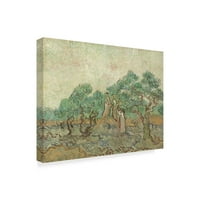 Zaštitni znak likovna umjetnost 'The Olive Orchard' platno umjetnost Vincenta Van Gogh