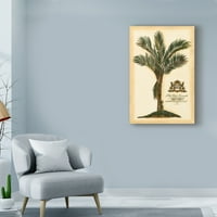 Zaštitni znak likovna umjetnost 'British Colonial Palm IV' Canvas Art by Vision Studio
