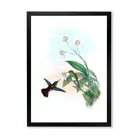 DesignArt 'povijesni hummingbird koji leti do cvijeta' tradicionalni uokvireni umjetnički tisak